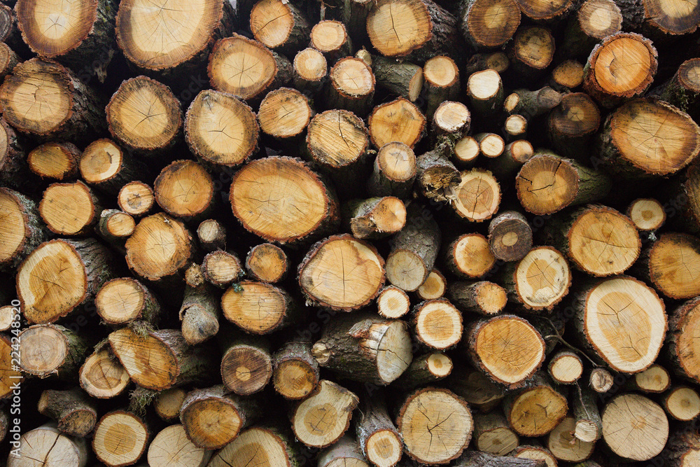 Background of sawn logs stacked in a pile Background of sawn logs stacked in a pile