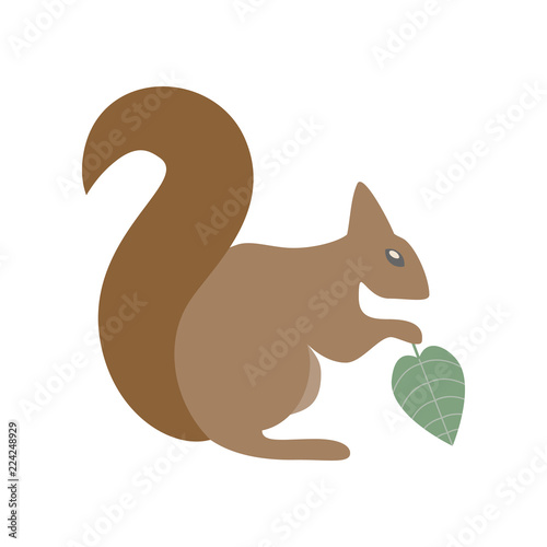 squirrel. Element of colored autumn illustration for mobile concept and web apps. Detailed squirrel illustration can be used for web and mobile