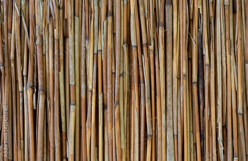 Background of bamboo, line patterns