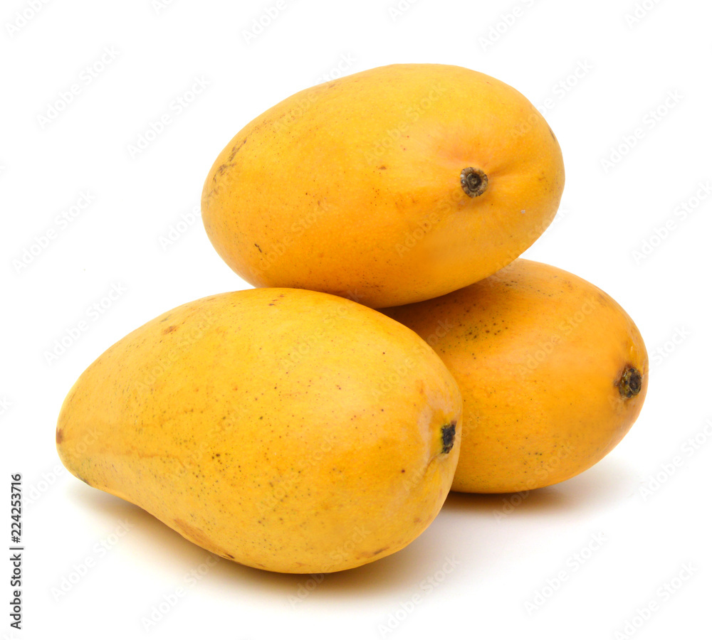 Yellow mango isolated on a white background