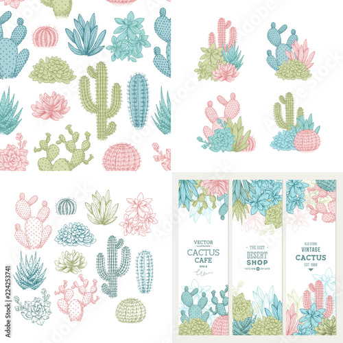 Cactus design kit. Sketchy style illustration. Banners, compositions, pattern. Succulent collection. Vector illustration