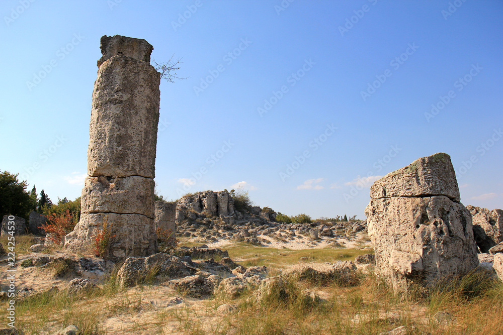 Каменная пустыня (Вбитые камни) недалеко от Варны (Болгария) 