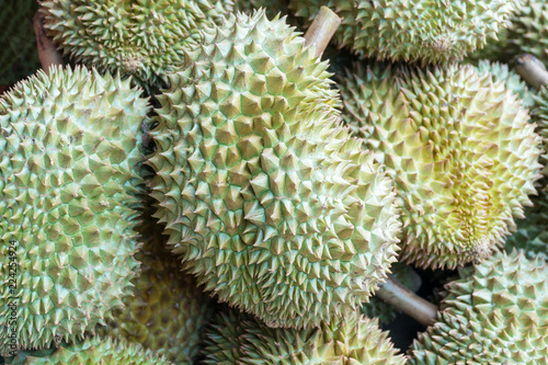 Pile of fresh asian tropical durians in the market. The king of fruits.  Durian tree 