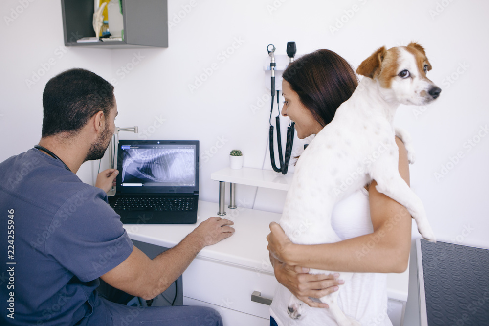 woman holding her dog consulting a vet doctor woman holding her dog consulting a vet doctor