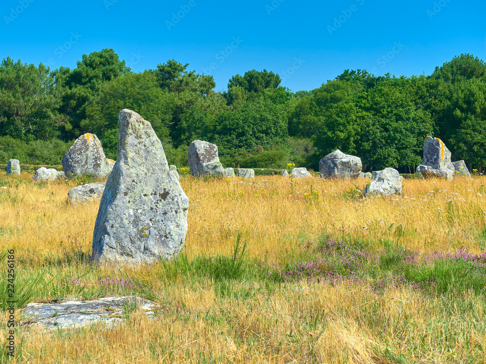 Vista Detalle del Alineamiento Megalítico de Menhires de Menec en el Yacimiento Prehistórico Neolítico y Celta de Carnac, Morbihan, Bretaña, Francia