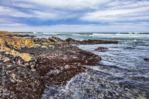 Picturesque view of the rocky shoreline of Atlantic Ocean and Platboom Beach. Platboom Bay is a beautiful beach along coastline nestled in Cape of Good Hope Nature reserve, Cape Town, South Africa. photo