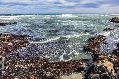 Picturesque view of the rocky shoreline of Atlantic Ocean and Platboom Beach. Platboom Bay is a beautiful beach along coastline nestled in Cape of Good Hope Nature reserve, Cape Town, South Africa.