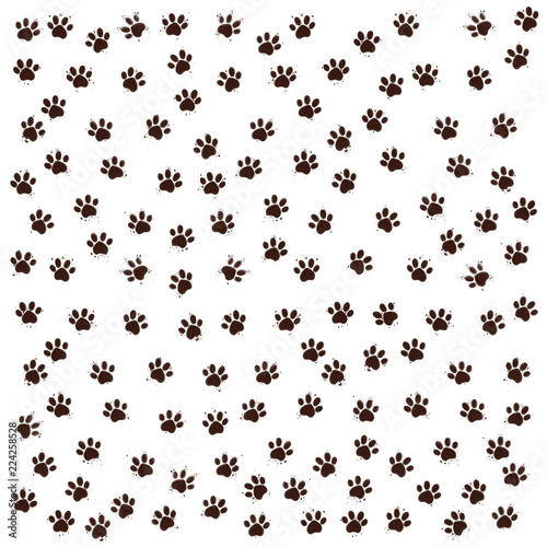 Huellas de perro marrones con pequeñas salpicaduras de barro sobre fondo blanco. photo