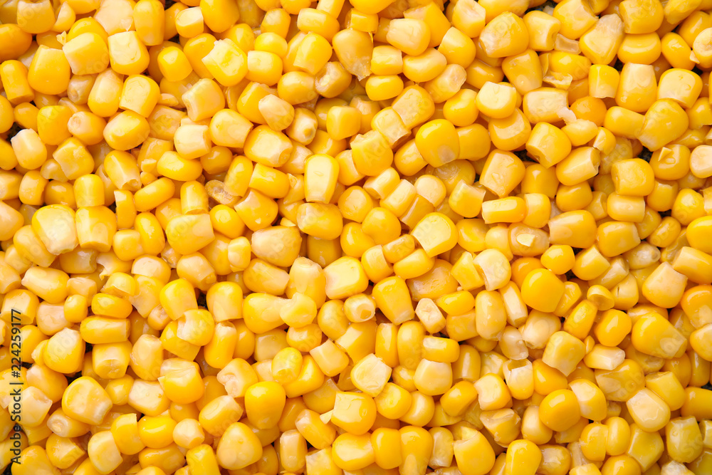 Ripe corn kernels as background, top view - obrazy, fototapety, plakaty 
