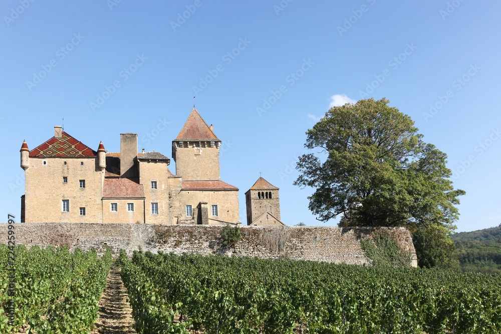 Castle of Pierreclos in Burgundy, France