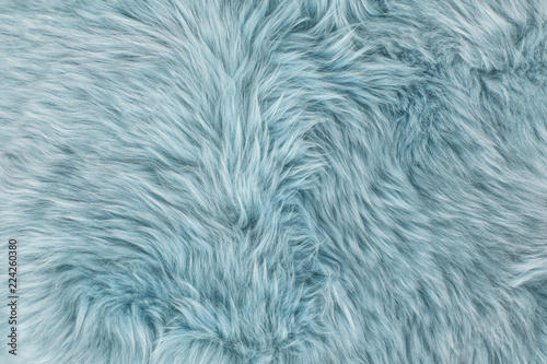 Natural sheepskin rug background Blue sheep fur