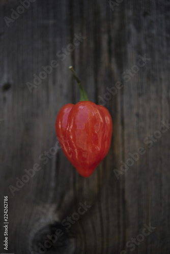 Red ripe habanero pepper on wooden board