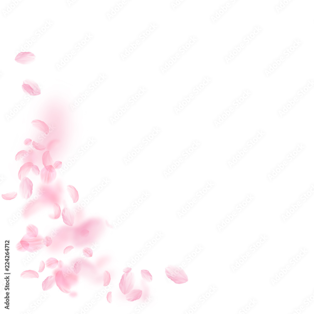 Sakura petals falling down. Romantic pink flowers Sakura petals falling down. Romantic pink flowers