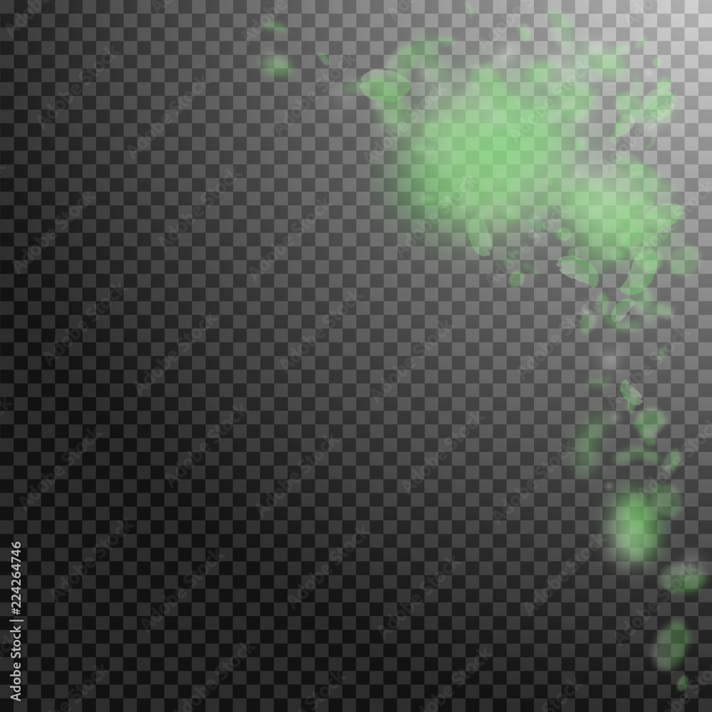 Green flower petals falling down. Exquisite romant Green flower petals falling down. Exquisite romant