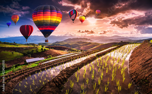 Colorful hot air balloons flying over Terraced Paddy Field in Mae-Jam Village , Chaing mai Province , Thailand. .