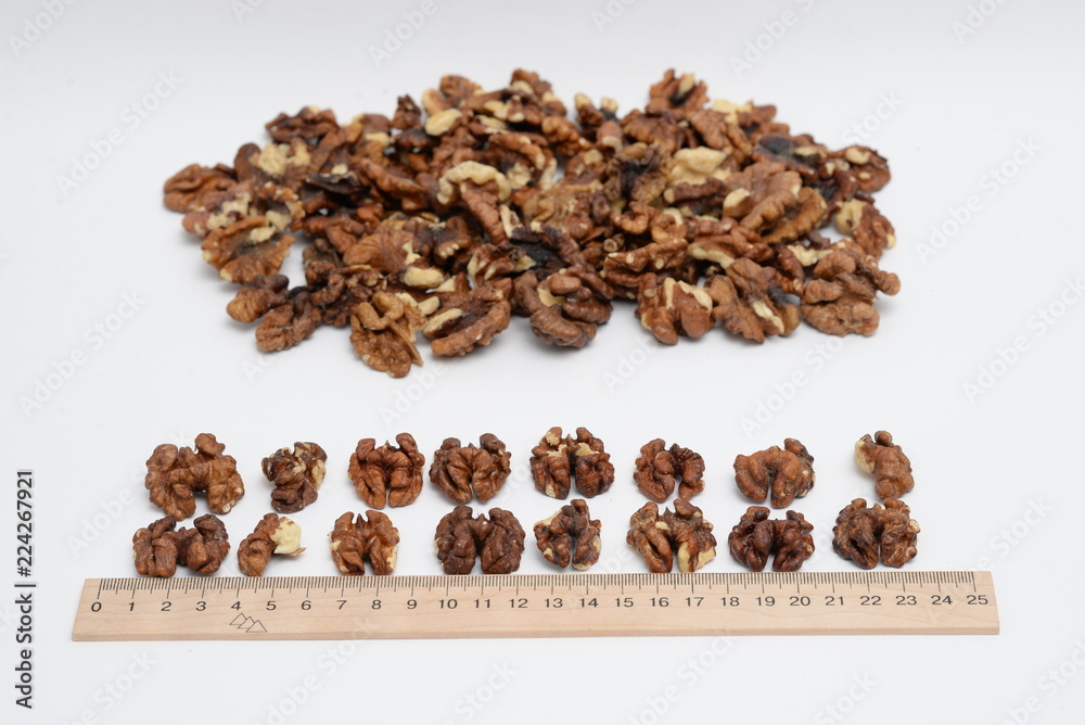 walnuts walnuts