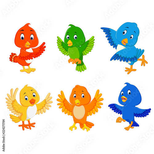 the collection birds with the different color and posing

