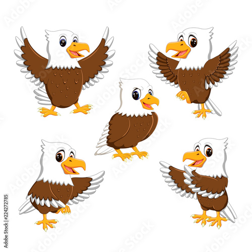 collection of  the  dashing eagle in the different posing and expression 
