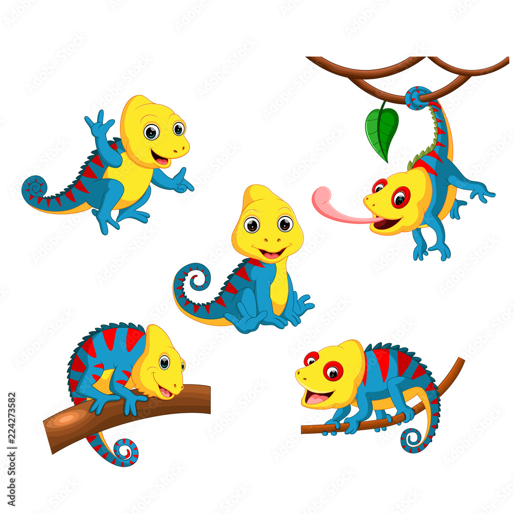 Obraz premium the collection of the chameleon with the fullcolour and different posing 