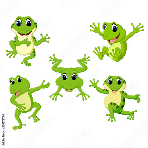 the collection of the beautiful green frog in the different posing   