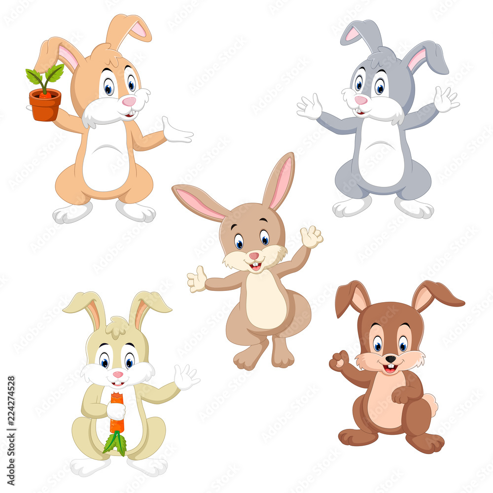 the collection of the rabbits in the different color and possing 
