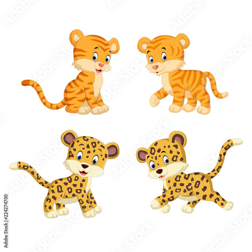 Fototapeta Naklejka Na Ścianę i Meble -  the collection of the tiger and leopard
