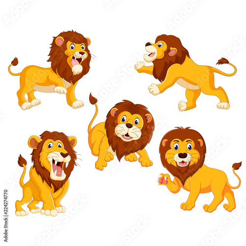 Fototapeta Naklejka Na Ścianę i Meble -  the collection of the lions with different posing
