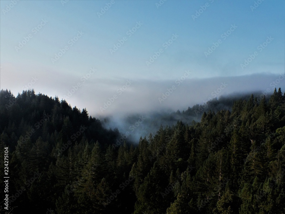 foggy morning in the mountains