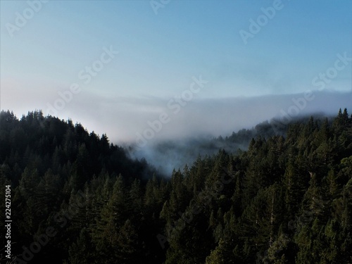 foggy morning in the mountains © jazmin