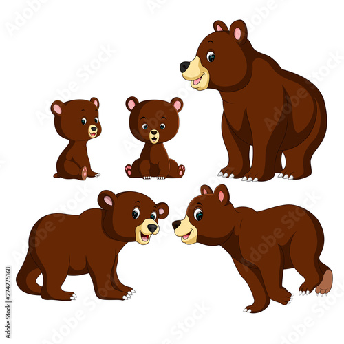 the collection of the bear and baby bear with different posing 
