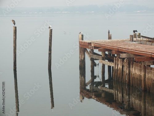 pier on the lake