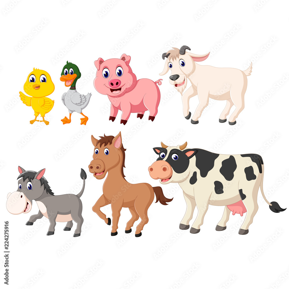 the collection of the livestock animals with the different species 
