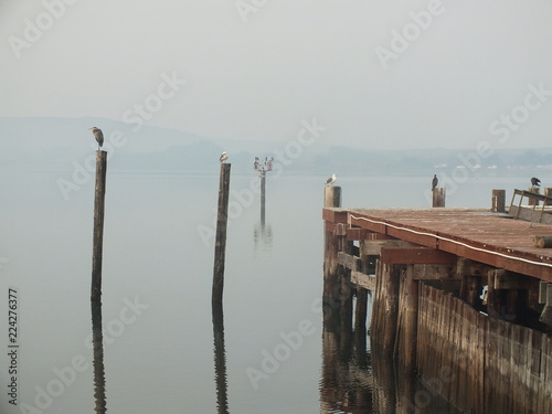 foggy pier