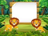 the nature view with the wooden board blank space and little lion 

