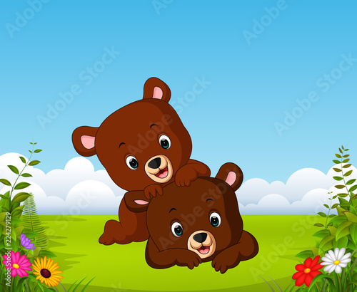 the beautiful view with two little bear playing together 
