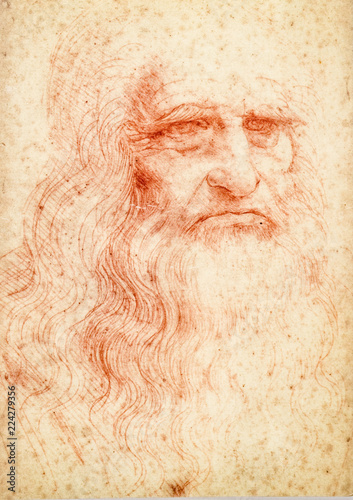 Stampa su tela Leonardo da vinci portrait postcard