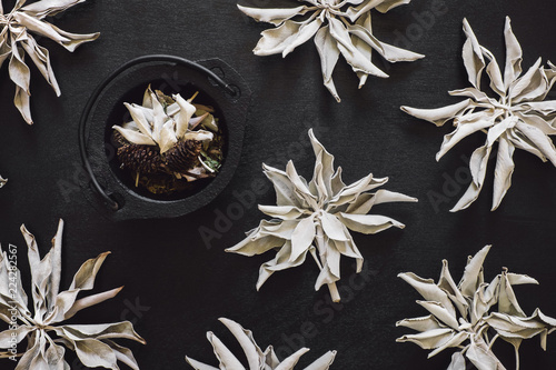 Tablou pe pânză Dried White Sage and Herbs with Black Cauldron