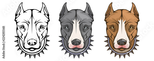 pit bull terrier, american pit bull, pet logo, dog pitbull, colored pets for design, colour illustration suitable as logo or team mascot, dog illustration, vector graphics to design