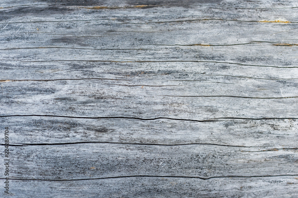 wooden surface texture wooden surface texture