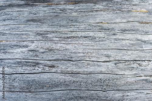 wooden surface texture