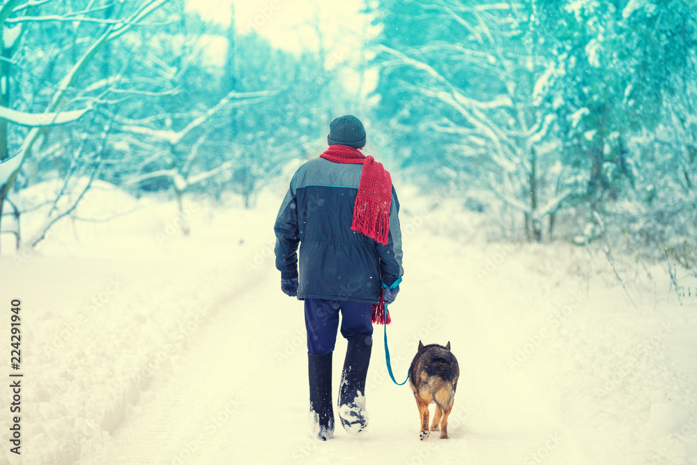 The man with the dog on a leash walking on the snowy country road in winter. The man wearing traditional Russian  north winter shoe valenki