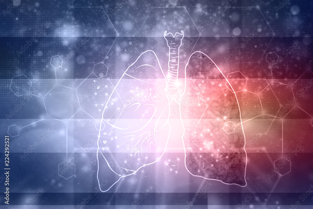 Healthy Human Lungs 2d illustration Healthy Human Lungs 2d illustration