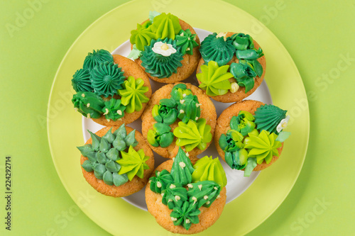 many cupcakes with cream in the form of cacti and succulents on a plate, on a green background, concept, top view
