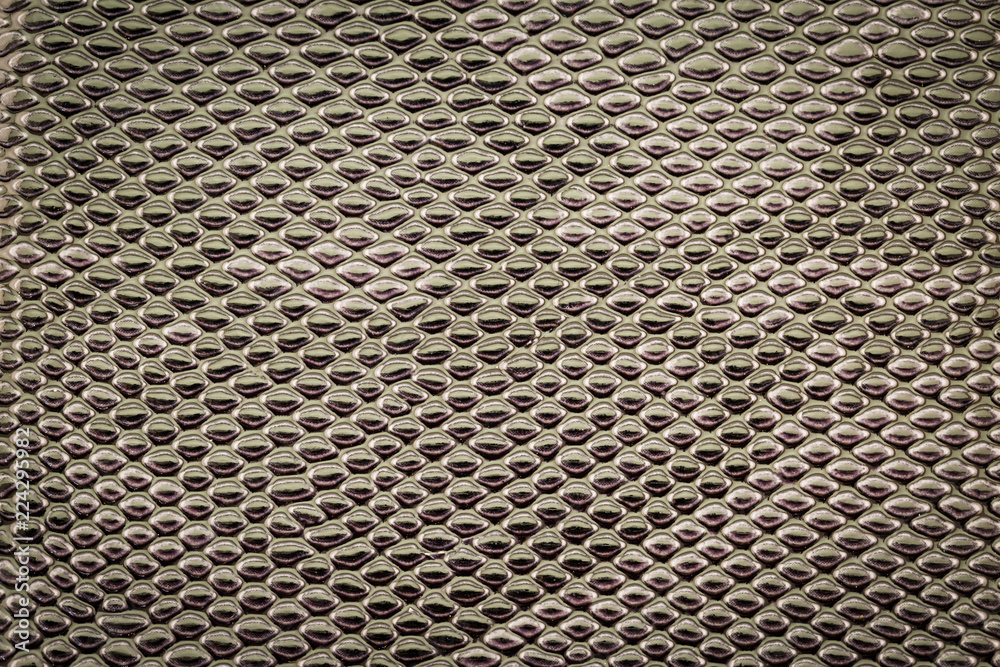Snake skin pattern Snake skin pattern