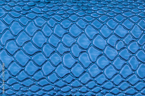 Blue exotic Snake skin pattern