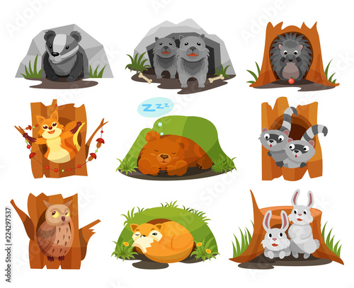 Cute animals sitting in burrows and hollows set, badger, wolves cubs, hedgehog, squirrel, bear cub, raccoon, owlet, fox, hares inside their homes vector Illustration