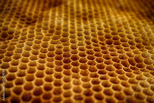 bee wax texture