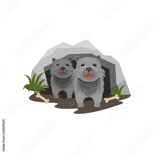 Lair of wolves, small cubs in stone cave vector Illustration on a white background