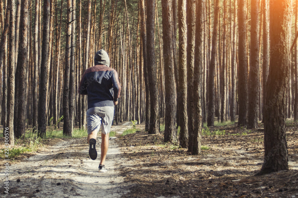 Man in a hoodie running in a pine forest. Concept of training in Man in a hoodie running in a pine forest. Concept of training in