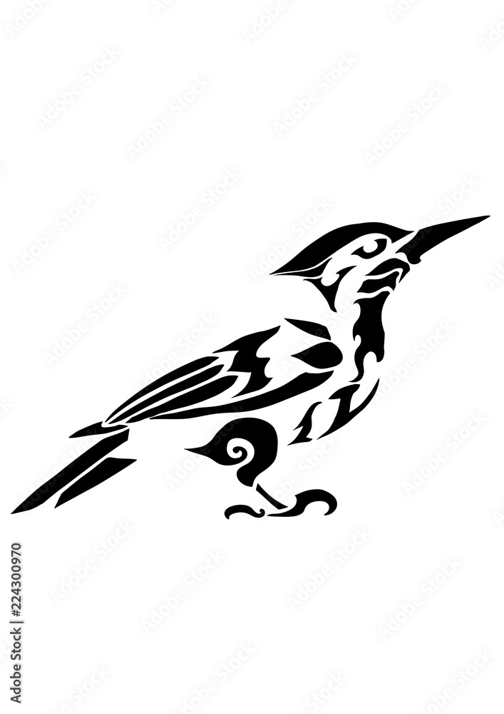 Obraz premium 啄木鳥